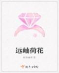 远看荷花像什么
