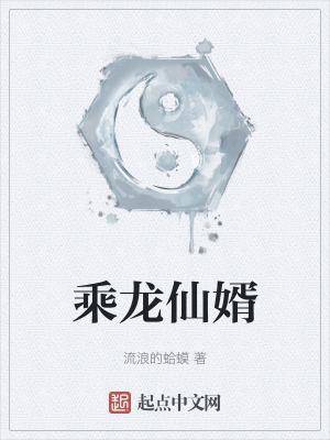 乘龙婿第二季